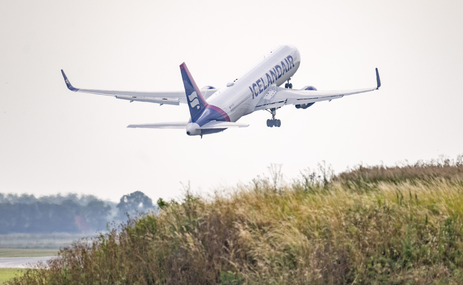 Five billion passengers take the plane