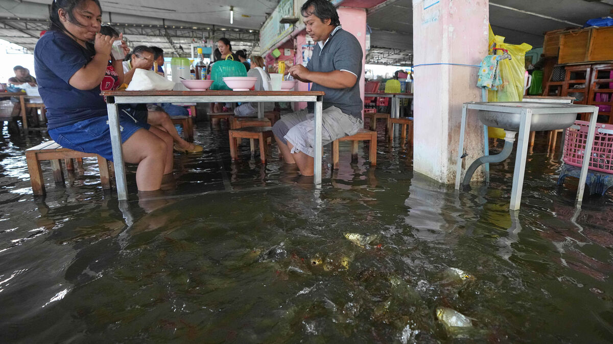 Flooding was a success –