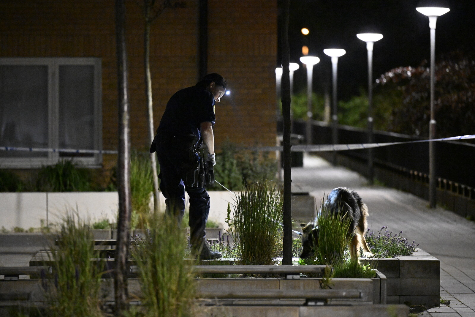 Man Acquitted in Malmö Knife