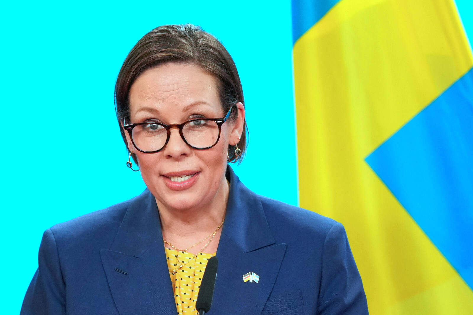 Swedish Minister Downplays Significance of