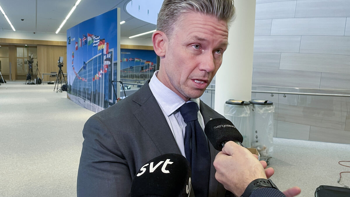 Sweden and NATO Urge EU