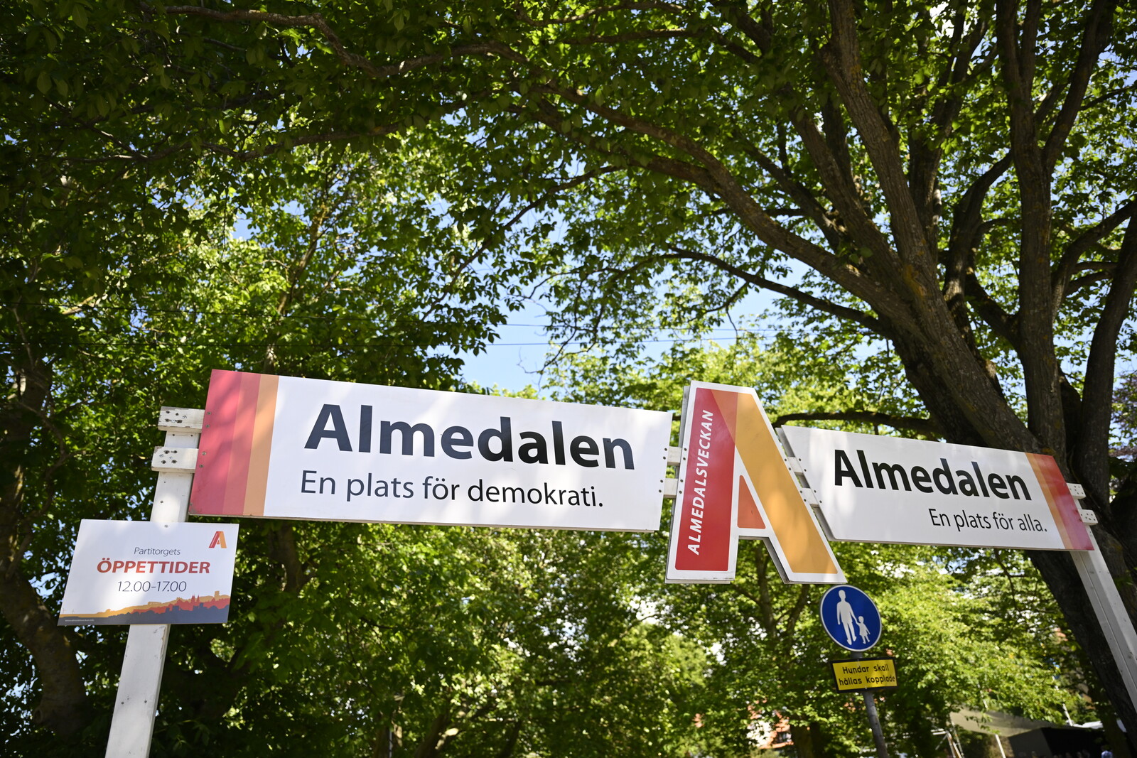 Culture's Role in Crisis Highlighted