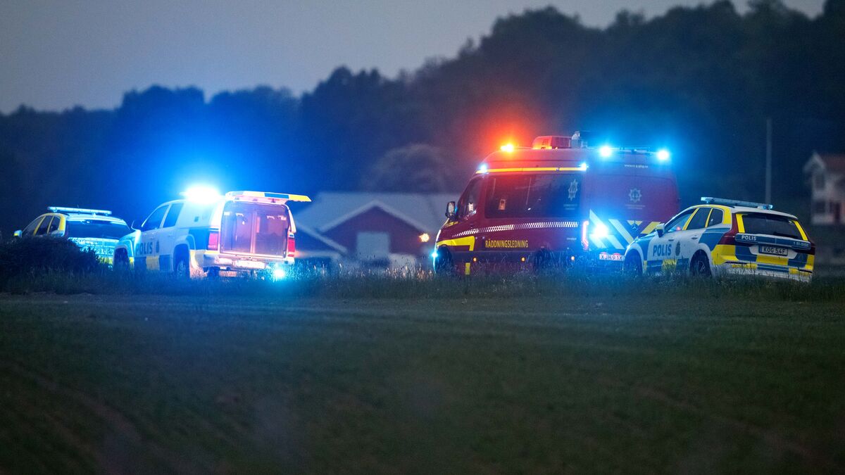 Man arrested after attacking two with a cleaver in Kungälv municipality