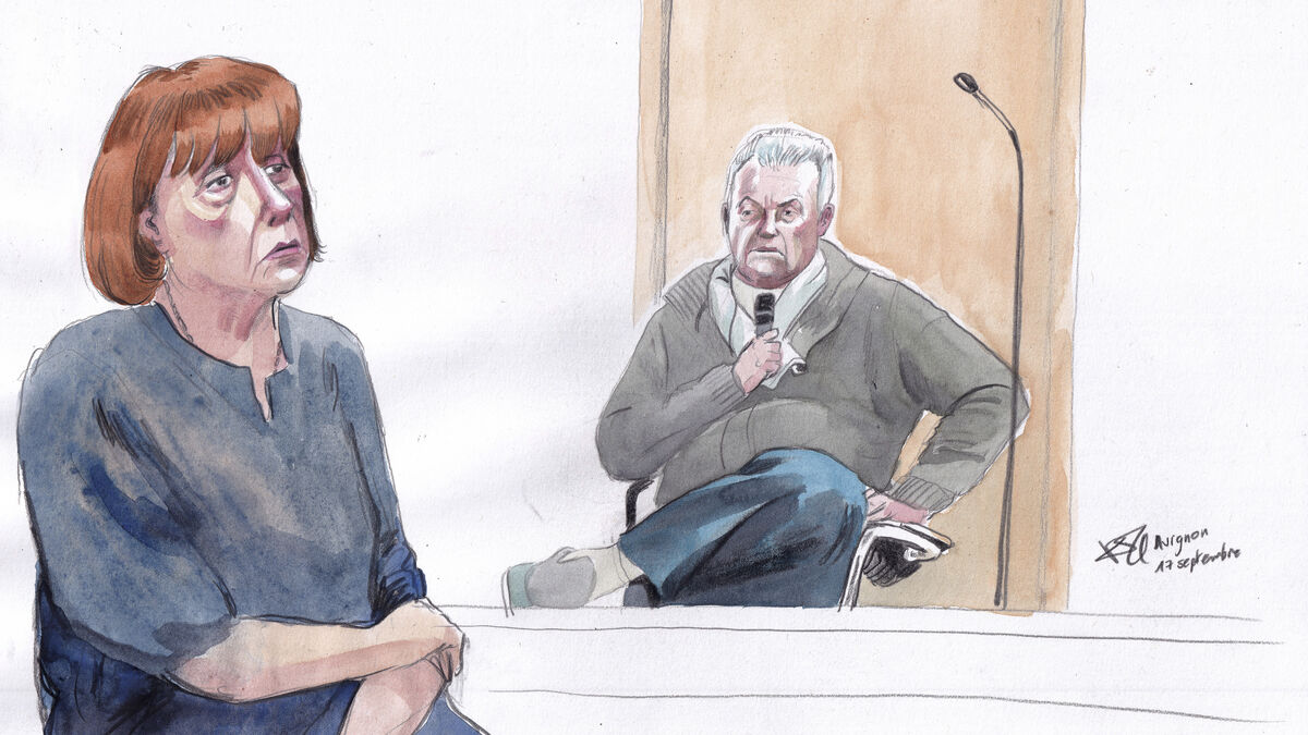Convicted rapist Dominique Pelicot seeks publisher