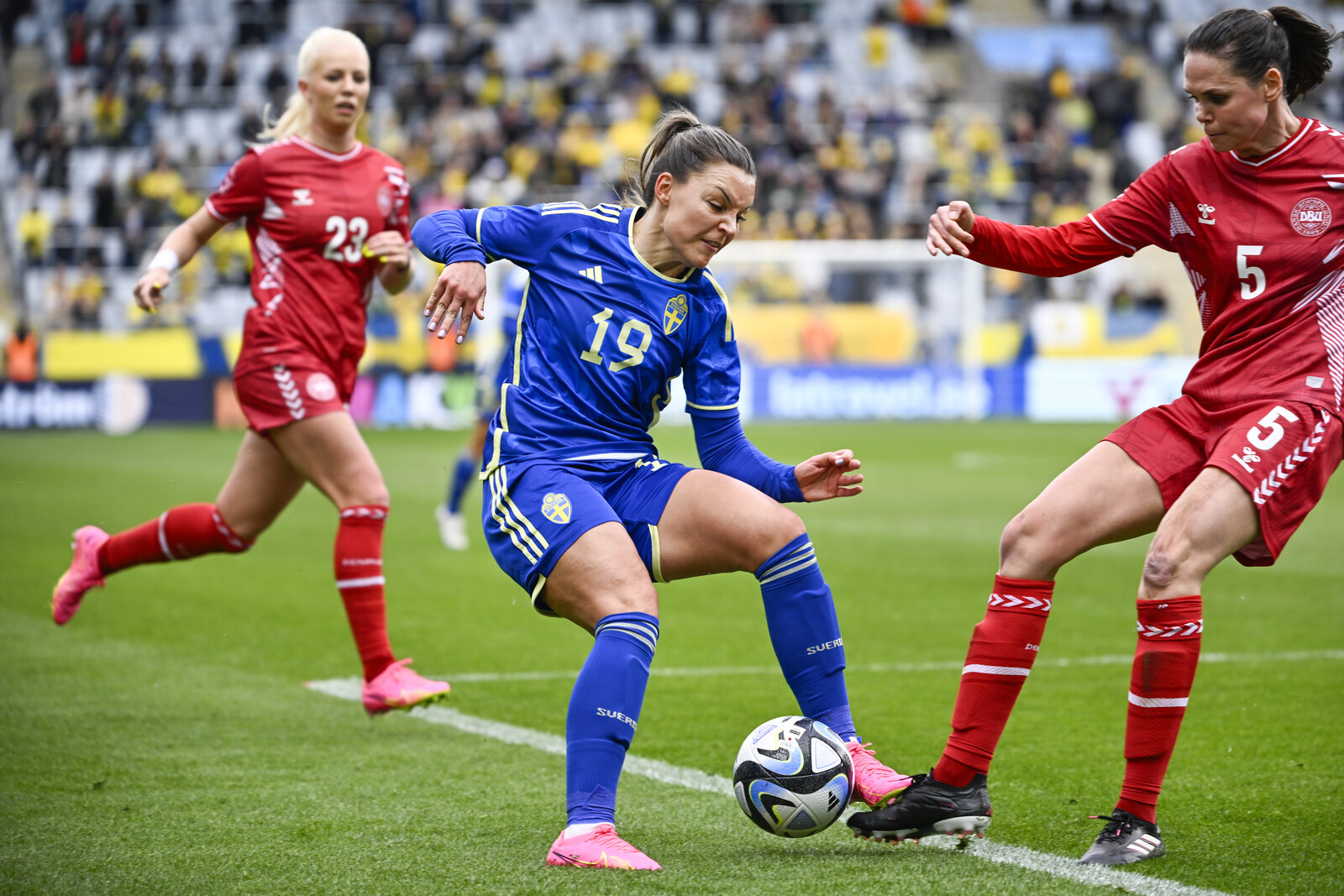 Sweden seeks to host the