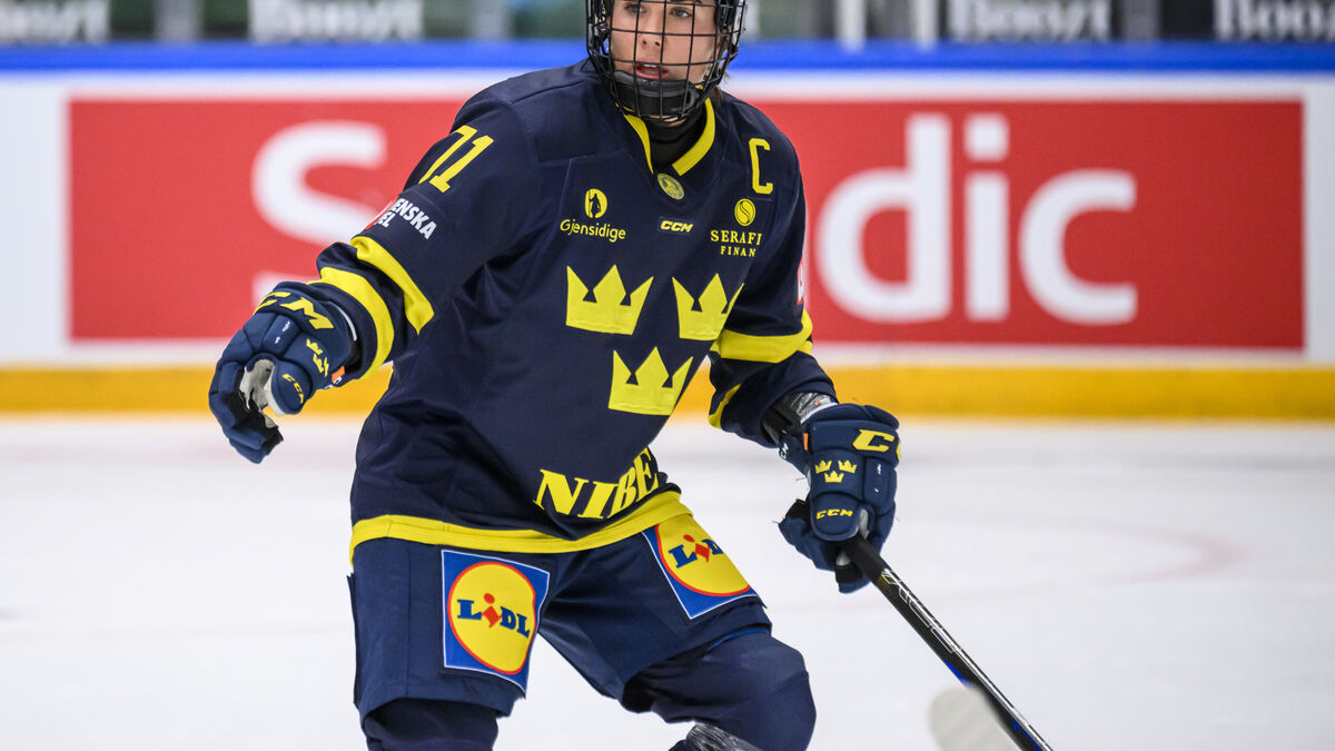 Odd goal loss for Sweden – again