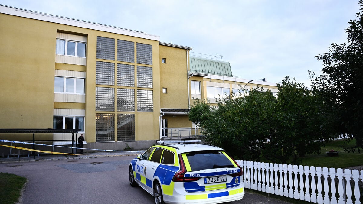 Teen suspected in Fagersta school attack spread racist and anti-Semitic views on social media