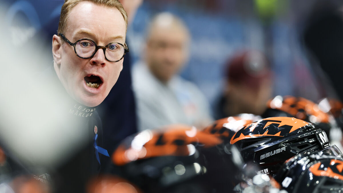 Niklas Eriksson new coach for