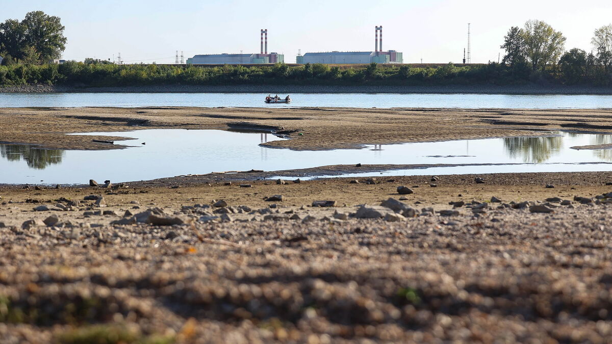 Hungary to restart Paks reactor as Danube water levels rise