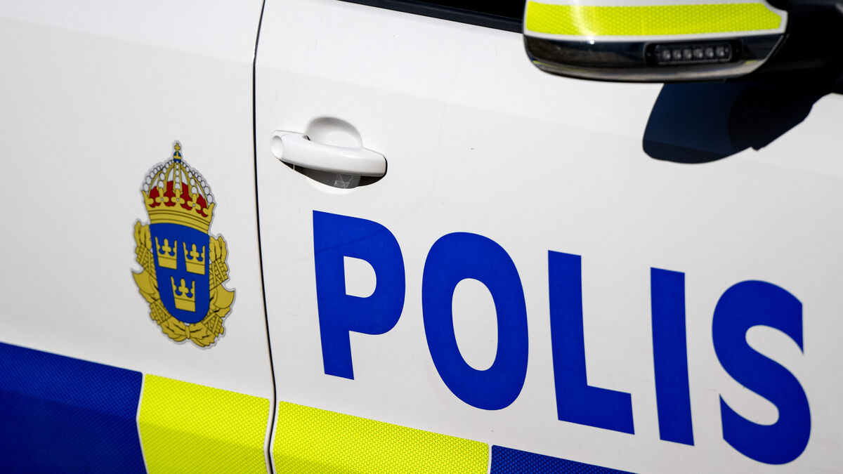 Dog attacks apartment in Jordbro,