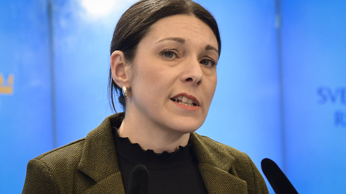 Social Democrats Propose 1.7 Billion