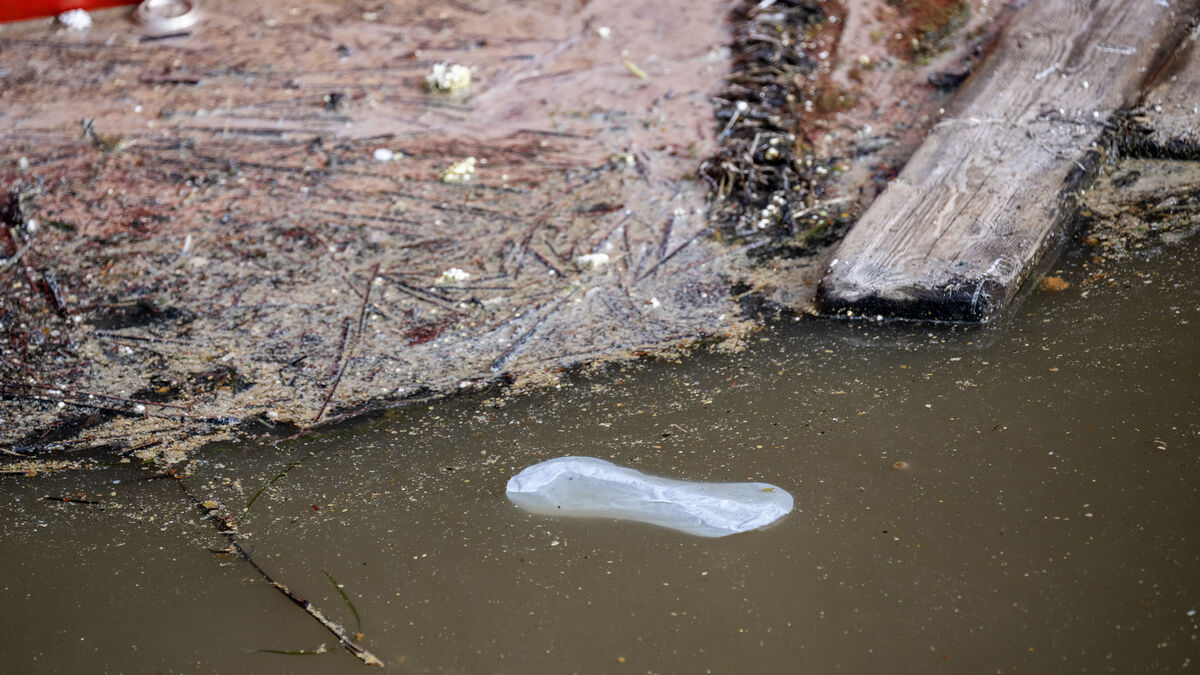 Poop leak fixed - Malmö residents can flush as usual