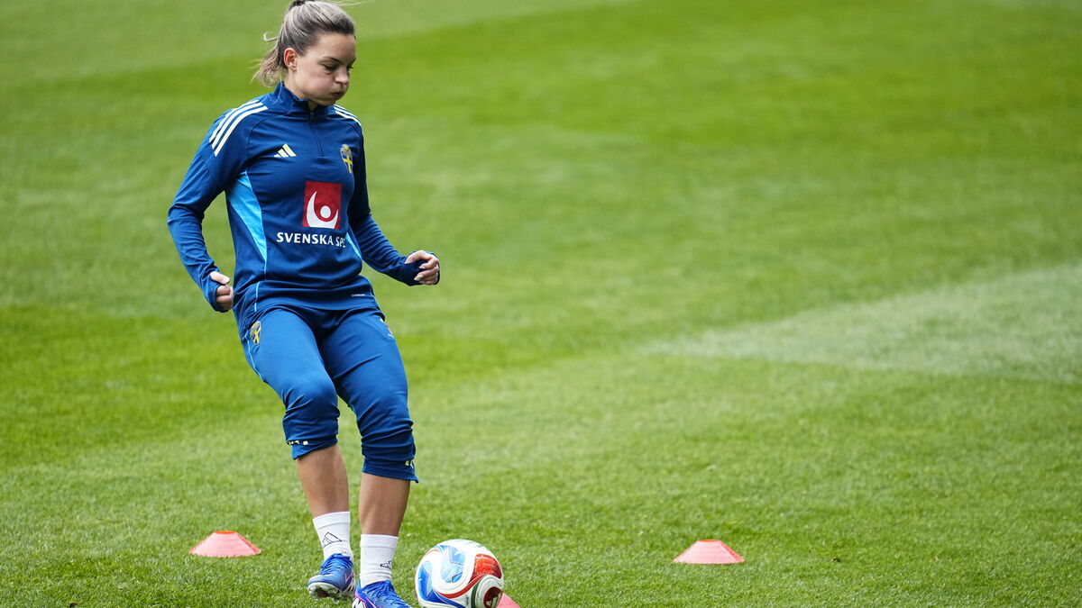 Johanna Rytting Kaneryd likely to miss World Cup qualifier against Denmark, coach won’t risk key player