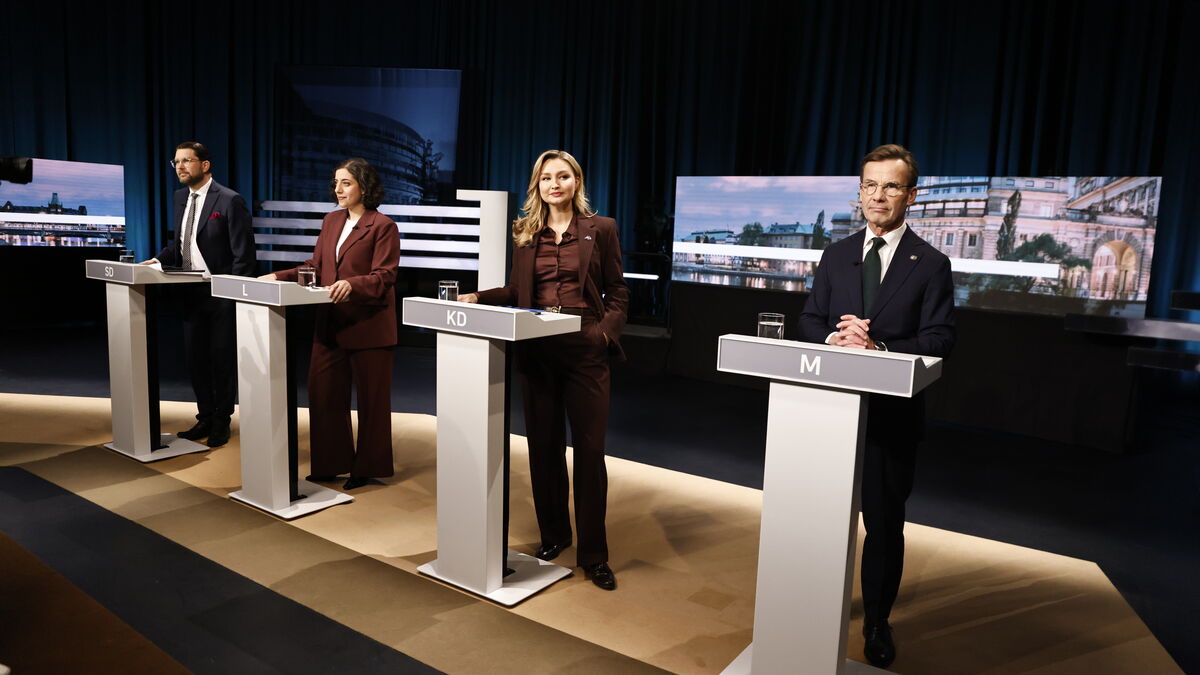 Political pie-throwing repels Swedish voters