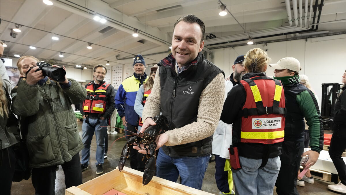 First lobster of the season
