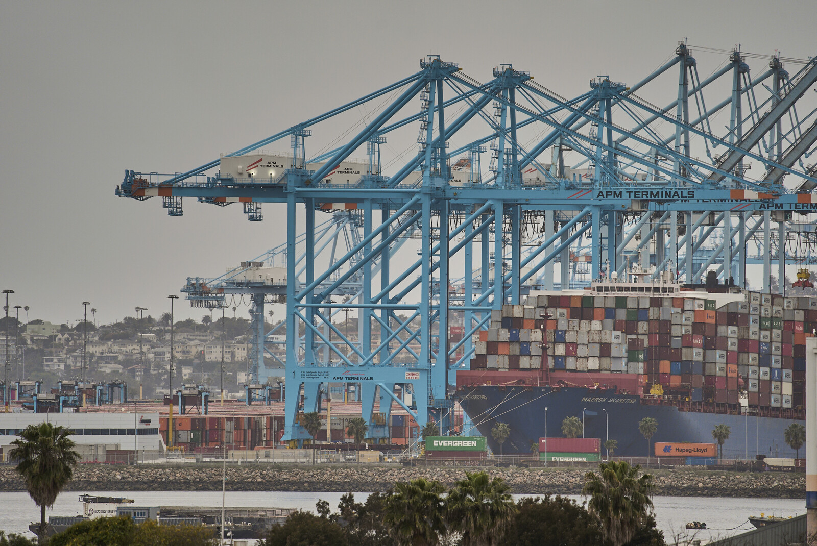 Maersk Raises 2025 Financial Targets Amid Strong Market Demand