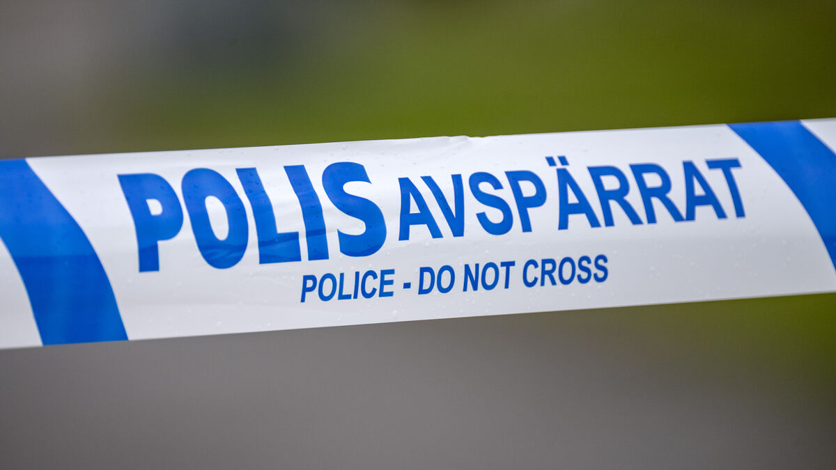 Drove into Palestine demonstration – sentenced to prison
