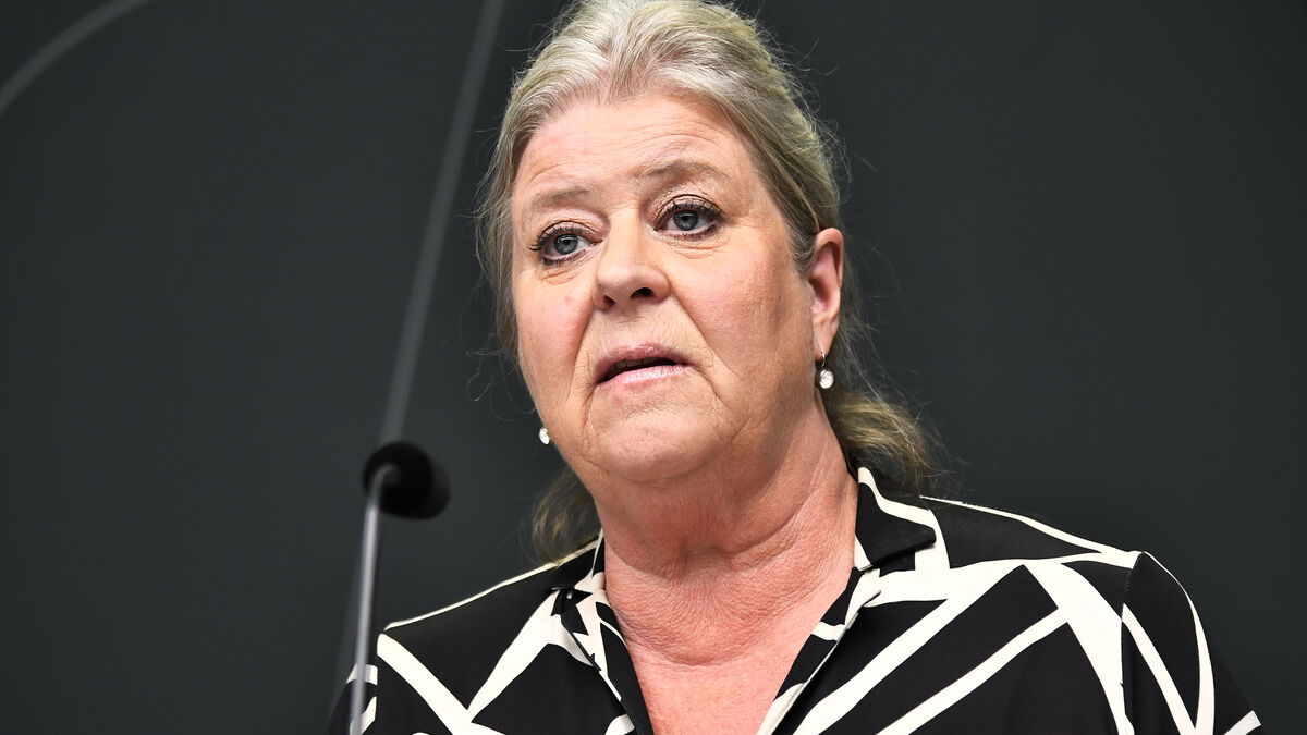 Government orders crackdown on fake foster homes in Sweden