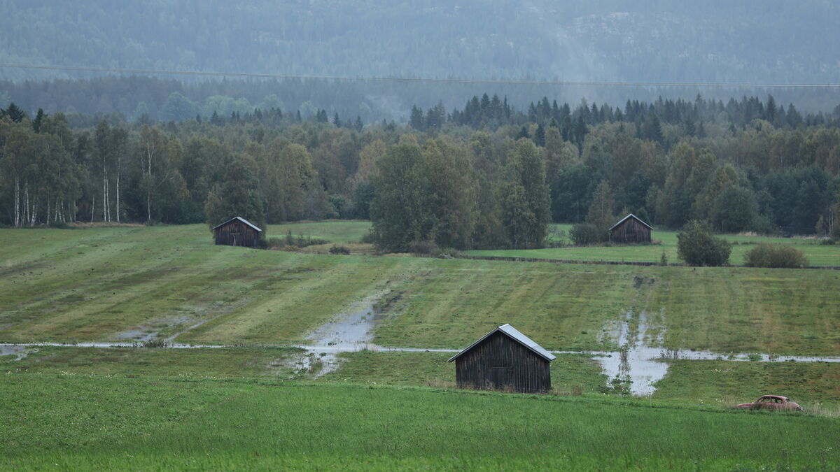 SMHI issues yellow warning for heavy downpours in parts of northern Sweden