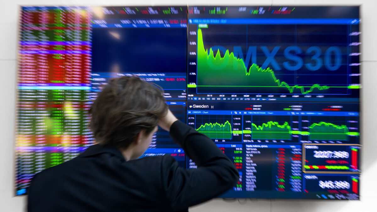 Stock market rises despite global