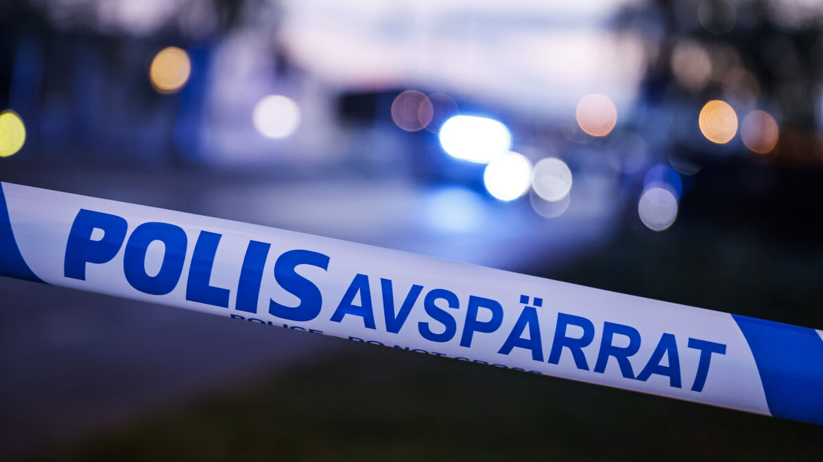 Man stabbed to death in Sköndal apartment, one arrested
