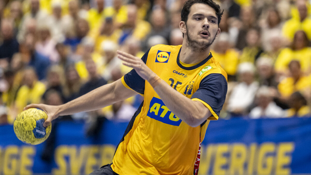 Sweden's Men's Handball World Cup