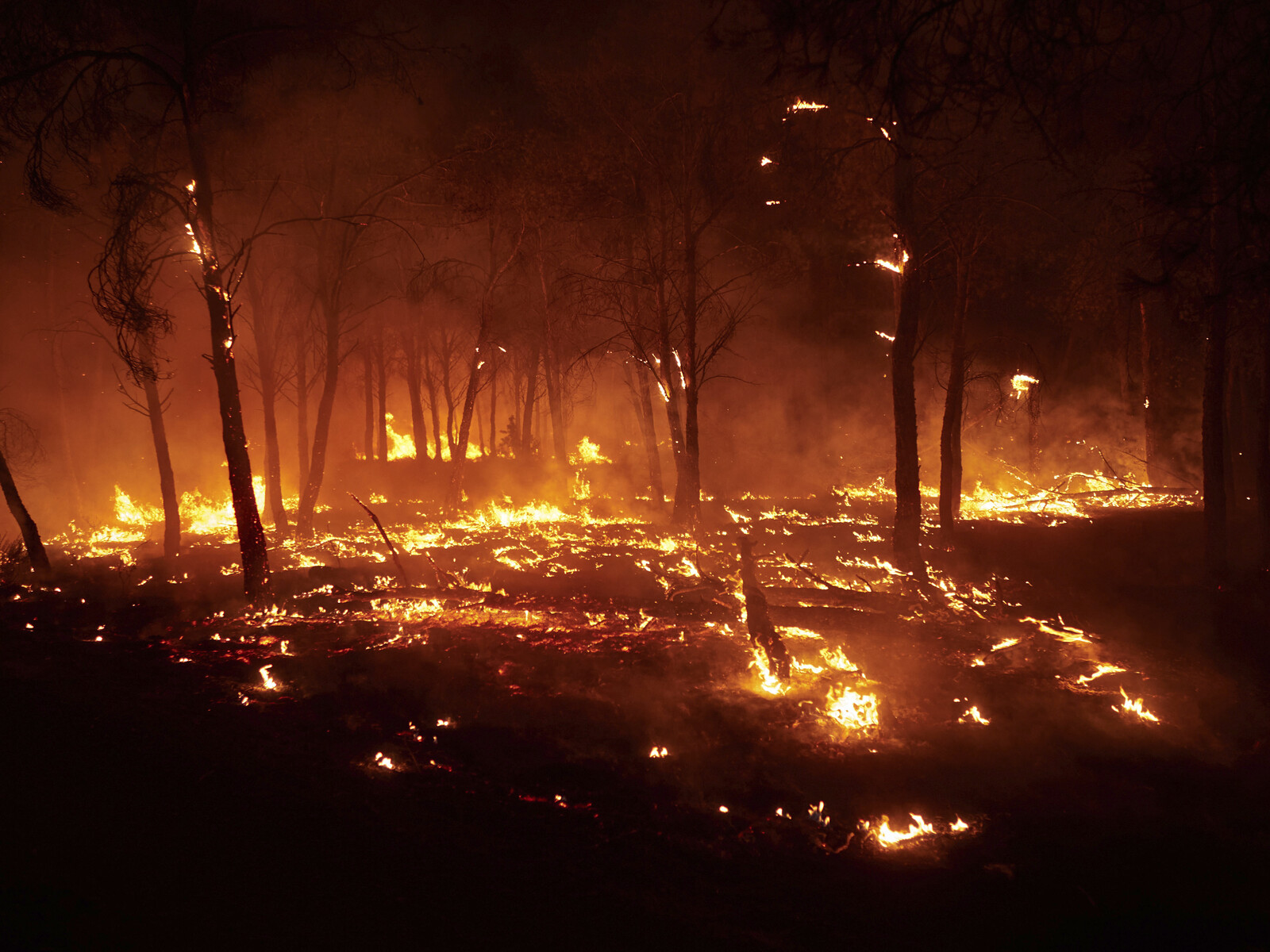 Spain Wildfires Rage Out of Control as EU Offers Assistance
