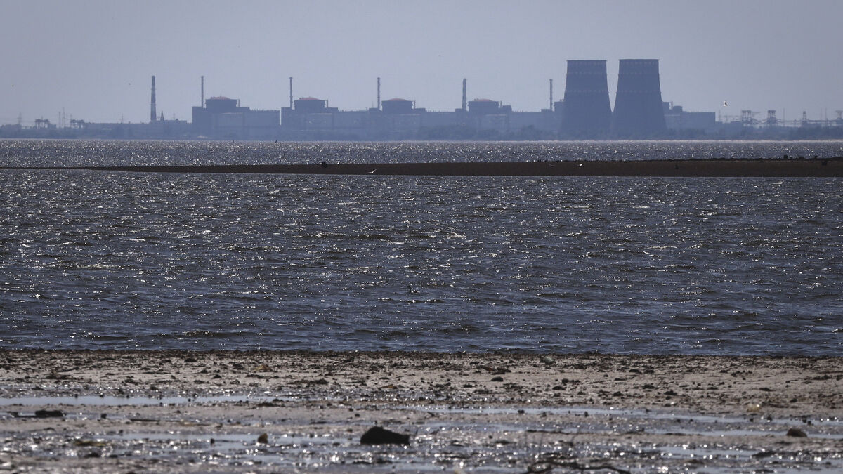 Zaporizhzhia nuclear power plant has no external power, IAEA says