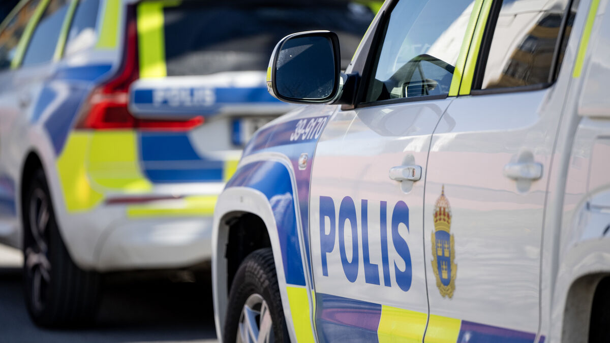 Car crashes into tree, woman seriously injured