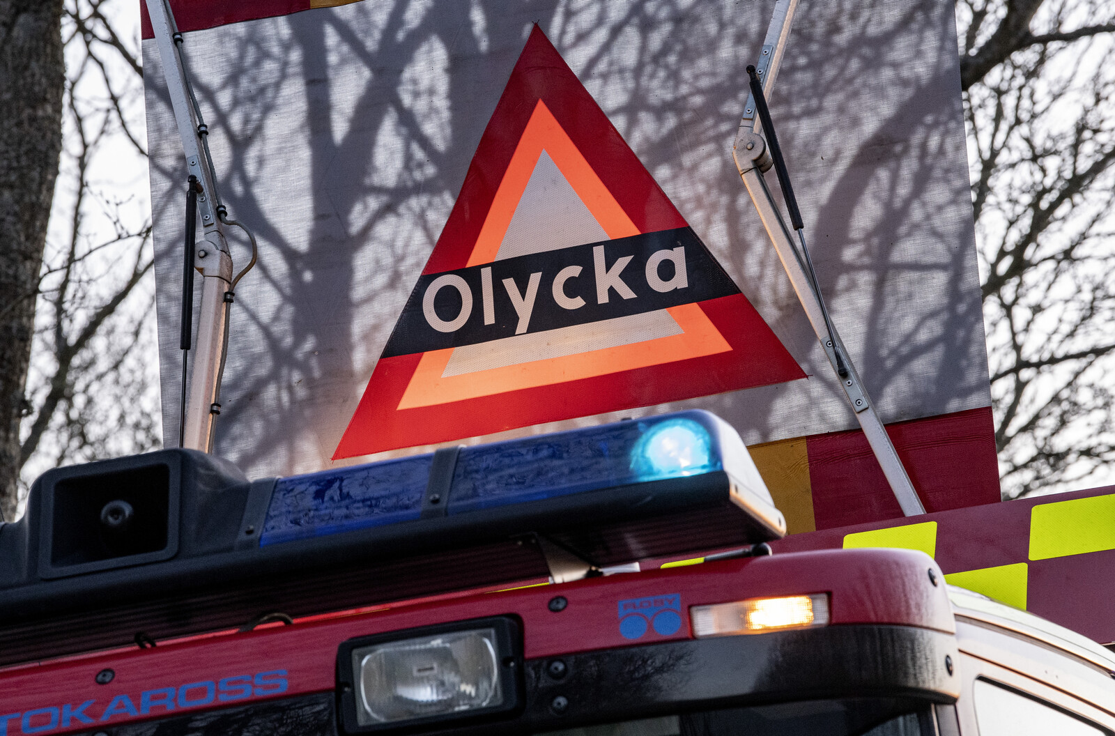 Woman dies after traffic accident
