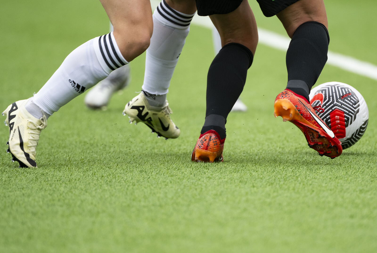 Spanish Man Cleared of Assaulting