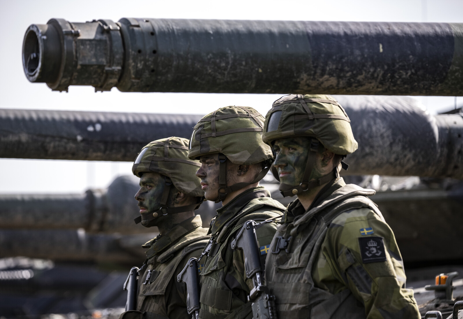 Sweden's Potential Role in Ukraine
