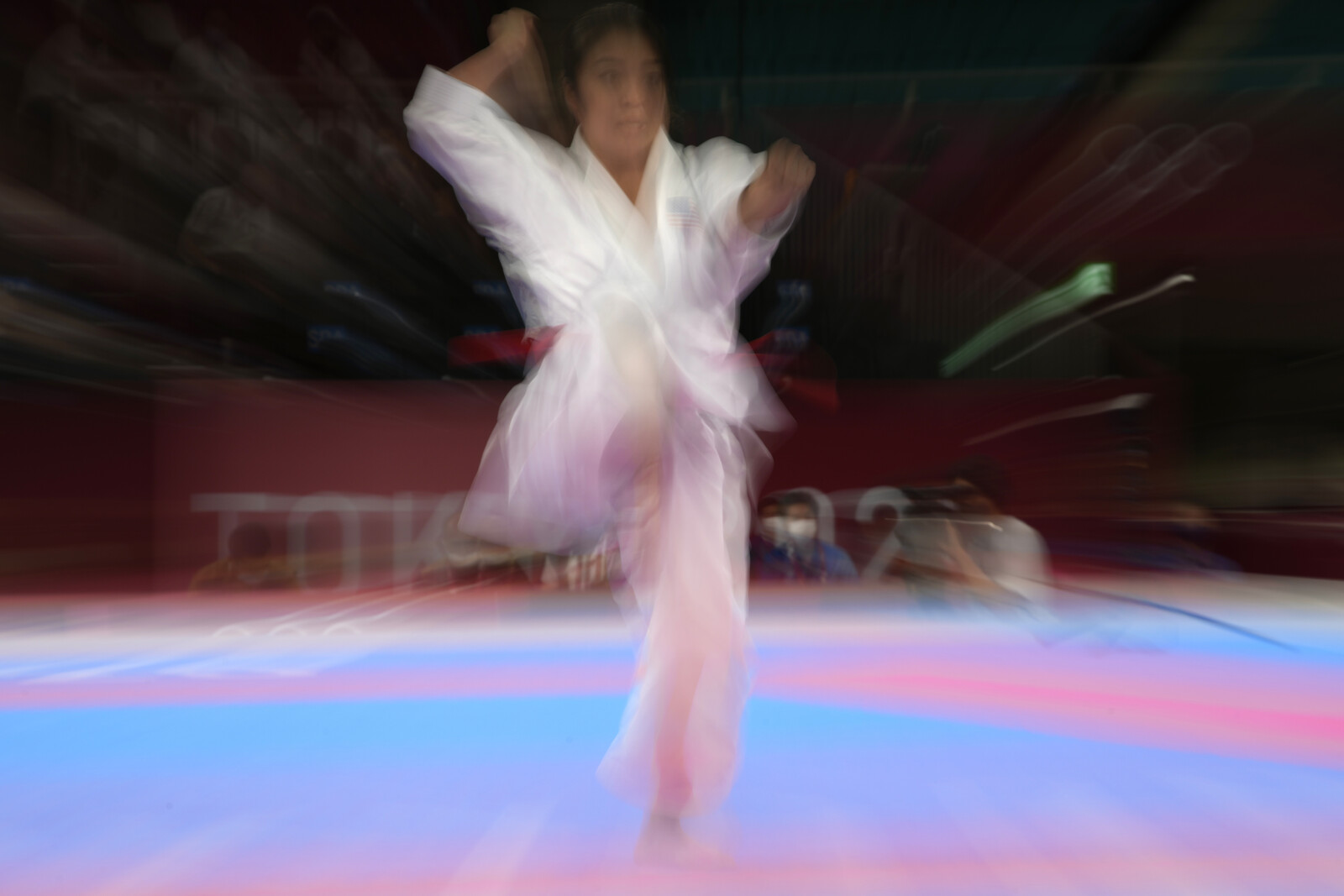 Swedish Karate Federation Faces Voting Manipulation Allegations