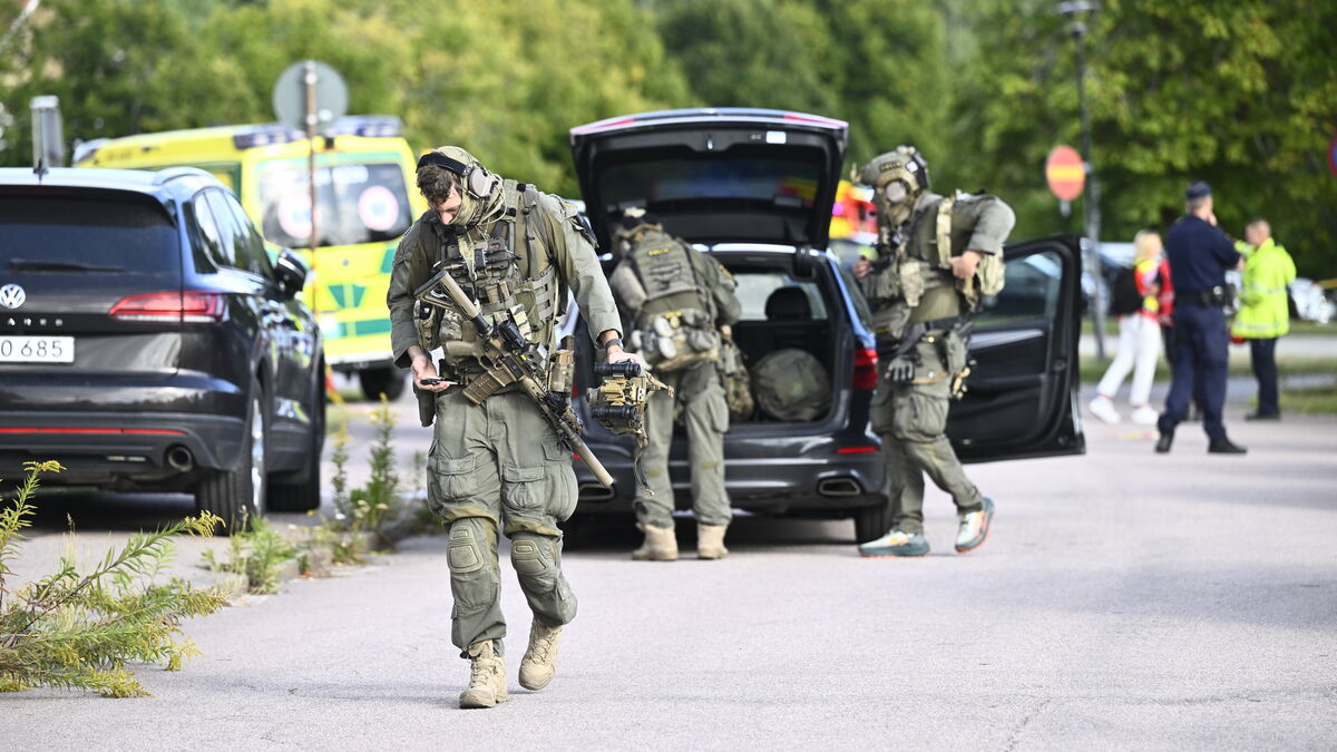 Fagersta school attack: girl in late teens killed, two boys seriously injured