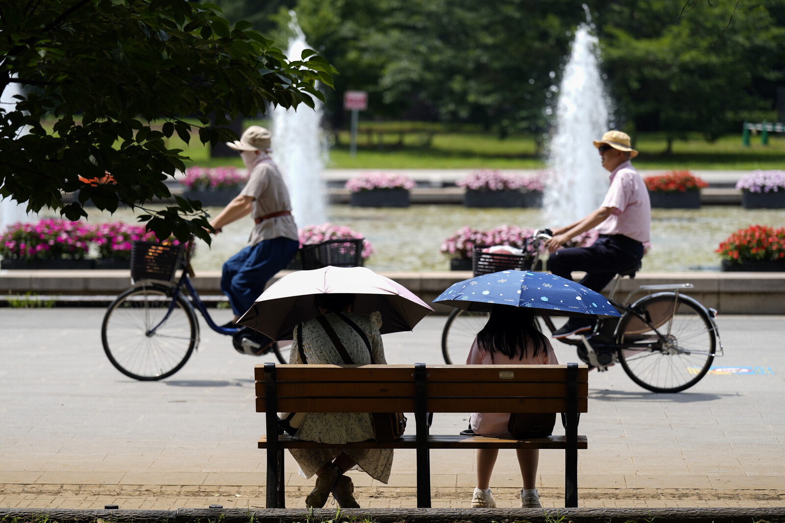 Japan Faces Population Decline as