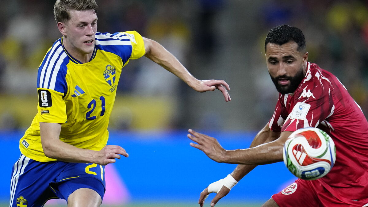 Graham Potter: Wingback Alexander Bernhardsson likely to continue, they do an incredible job