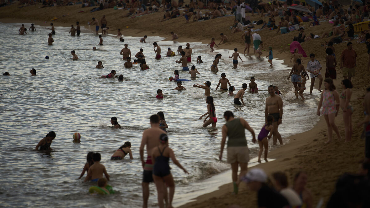 Continued momentum in Spanish economy