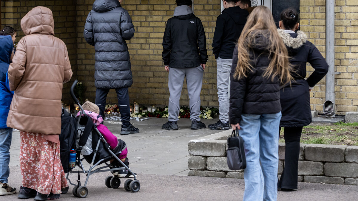 Girls targeted by online criminal