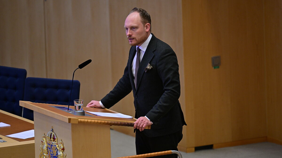 Sweden Democrats open to placing