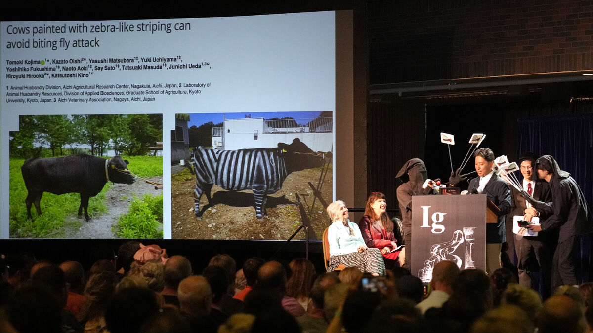 Security concerns cause alternative Nobel