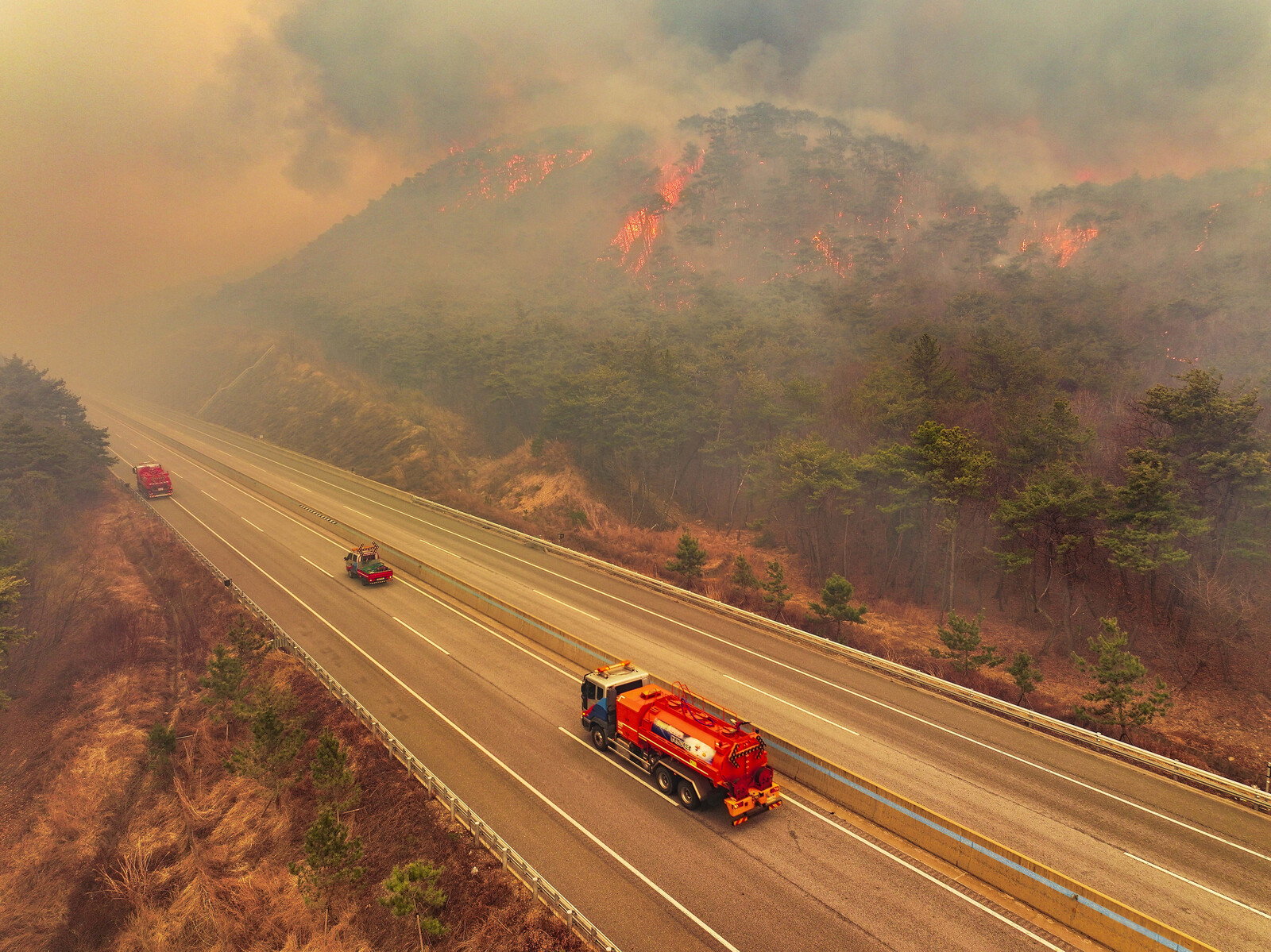 Global Forest Fire Emissions Below