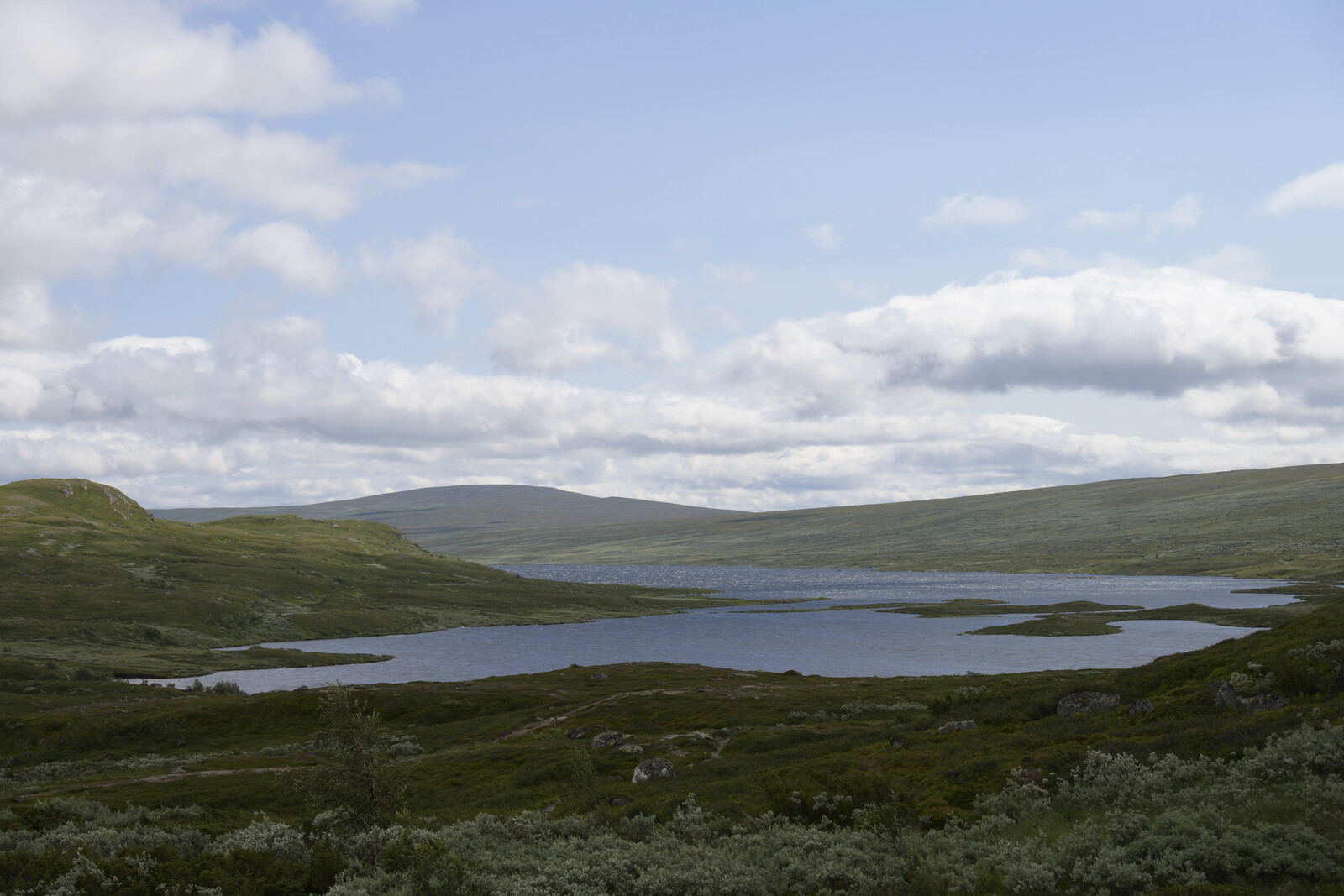 So cold waters in the north warm the earth