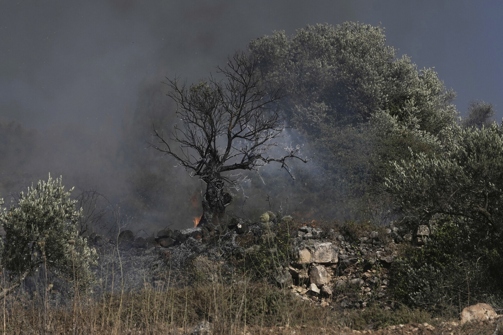 US Citizen Among Two Palestinians