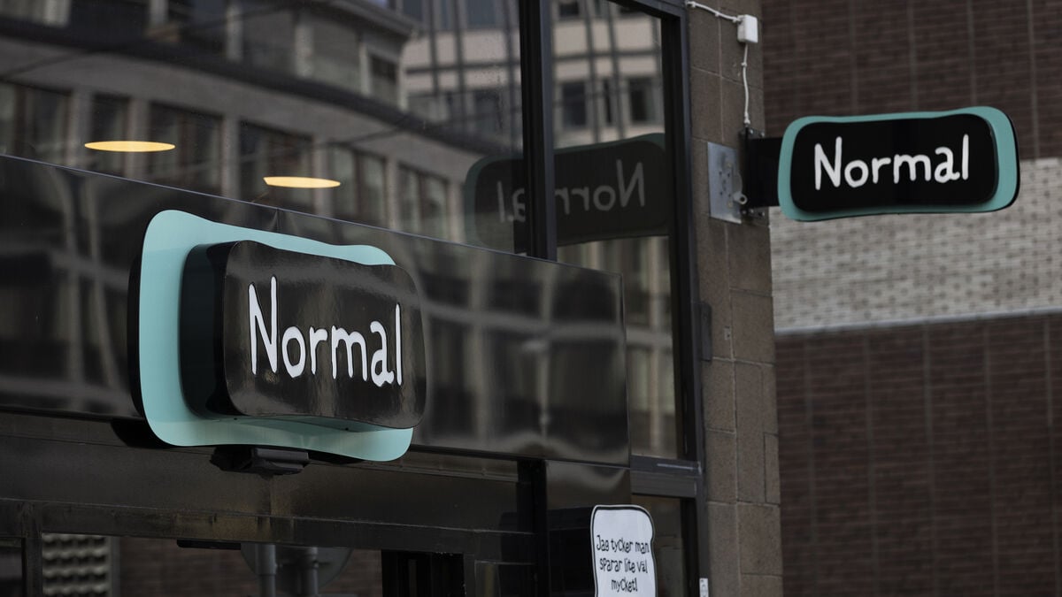 Danish retailer Normal reports record