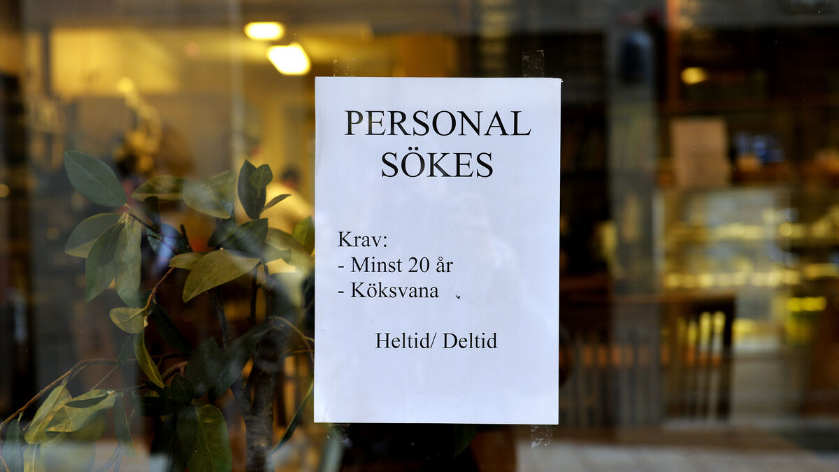 Fewer Workers Are Losing Their Jobs, TSL Says as Labour Market Stabilizes