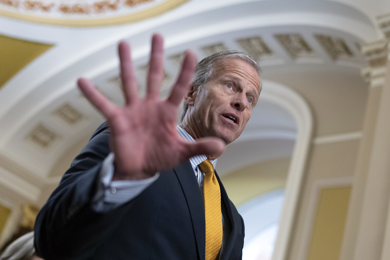 Proof of Trump Critic Thune