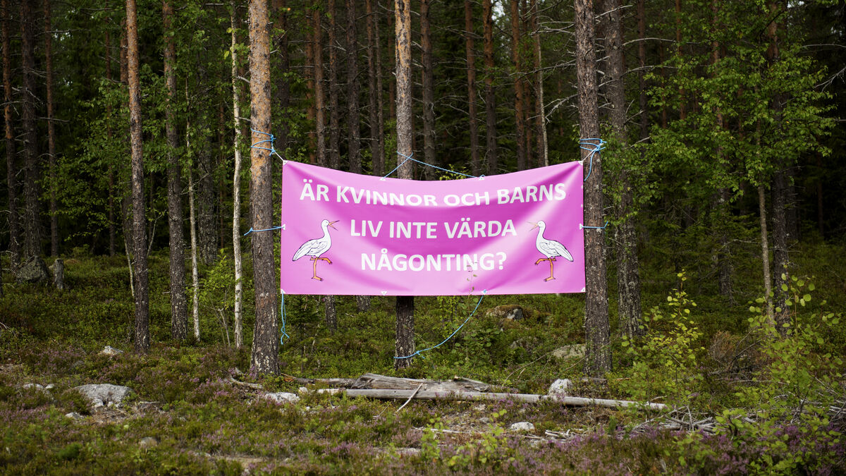 Childbirth rates fell 35 percent in Sollefteå after maternity hospital closure