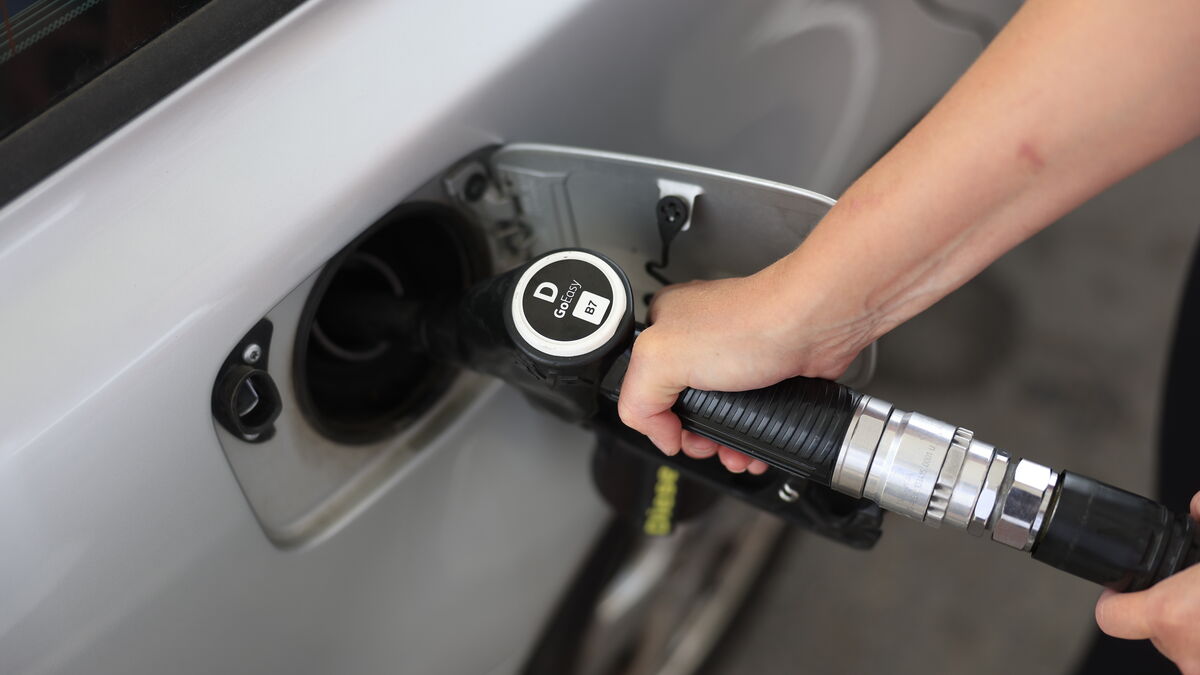 Car-sharing companies keep prices unchanged despite lower fuel costs