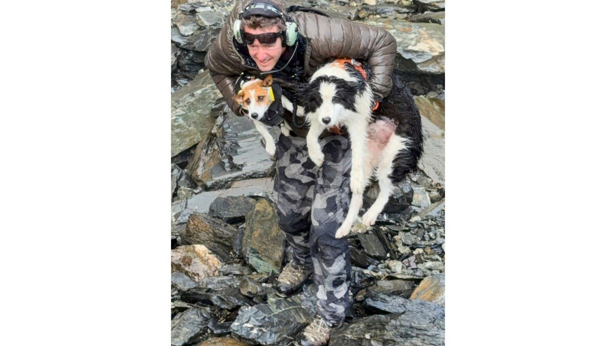 Hiker fell 55 meters in New Zealand - now her dog is saved