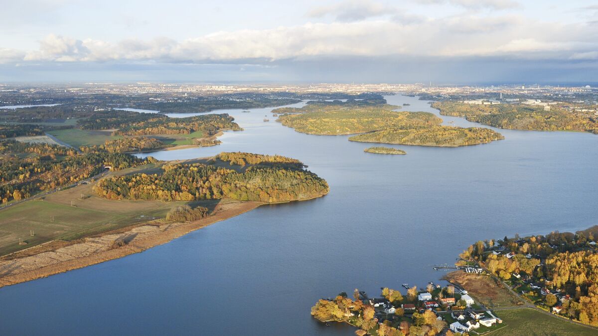 Man arrested on Lovön after